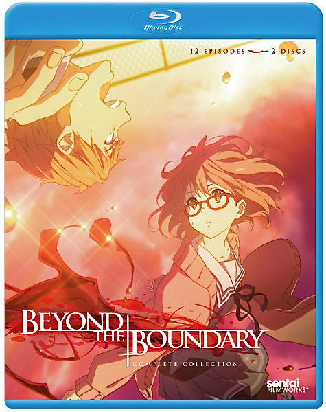 Beyond the Boundary Review