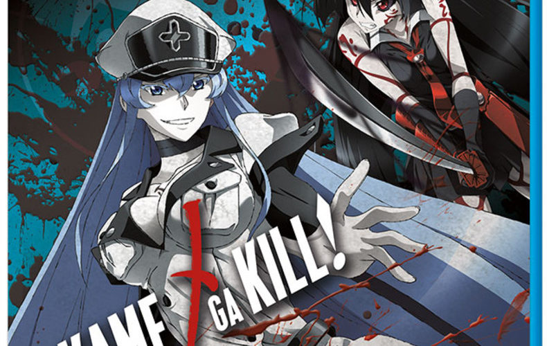 Akame ga Kill Collection 2 anime review  Animeggroll