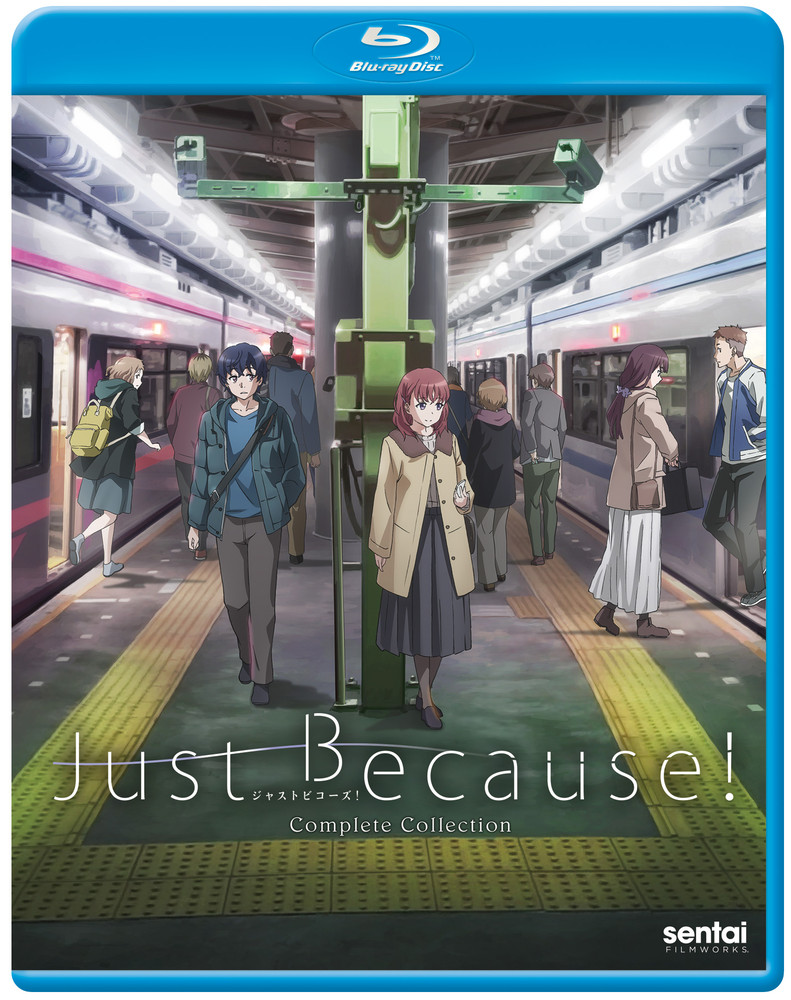 Just Because Anime Review | Animeggroll