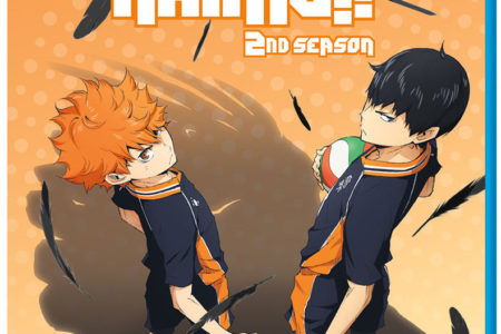 Haikyu!! 2nd Season Anime Review