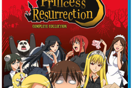Princess Resurrection (anime review)